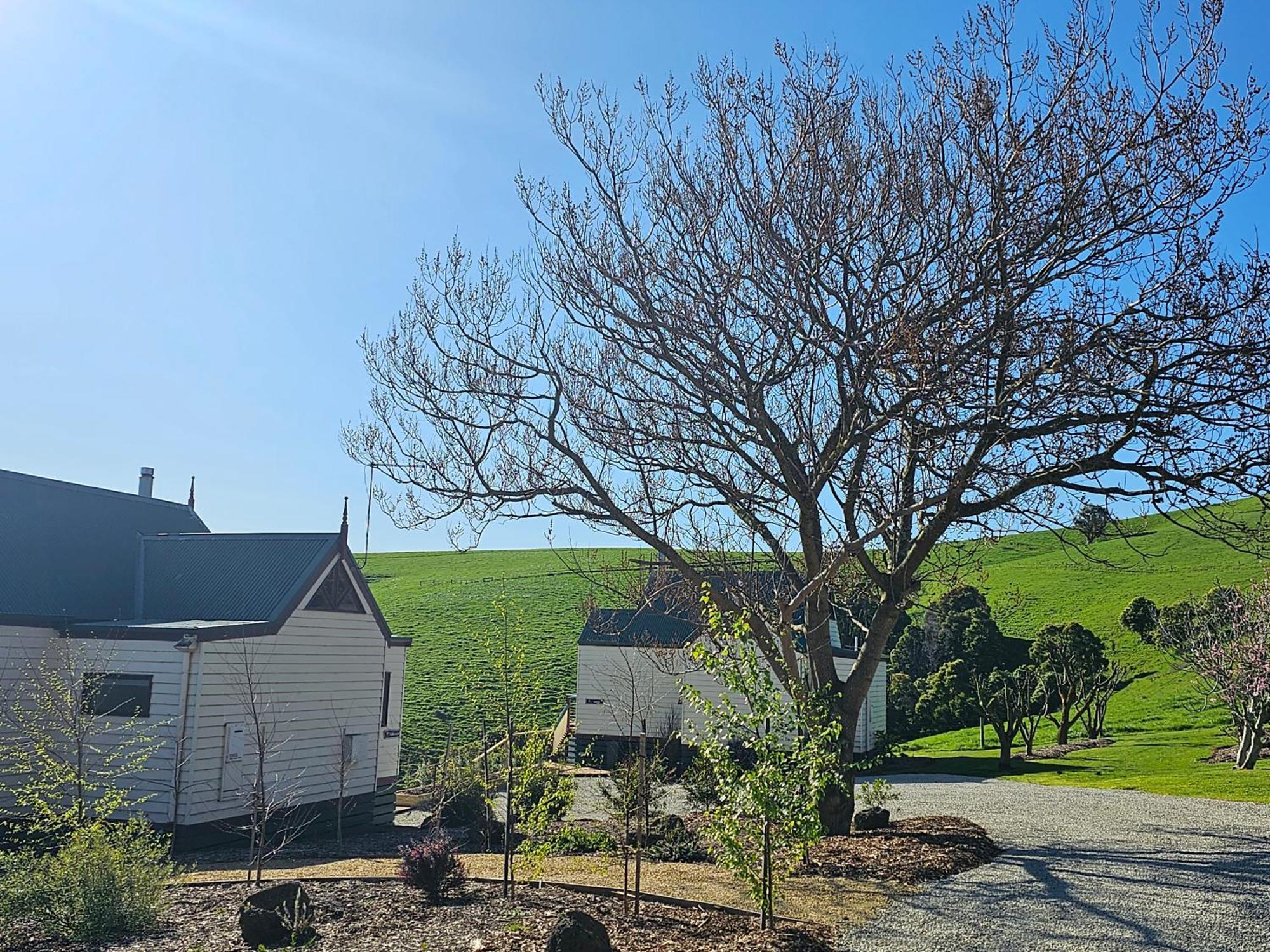 Dumbalk Maple Ridge Cottages מראה חיצוני תמונה