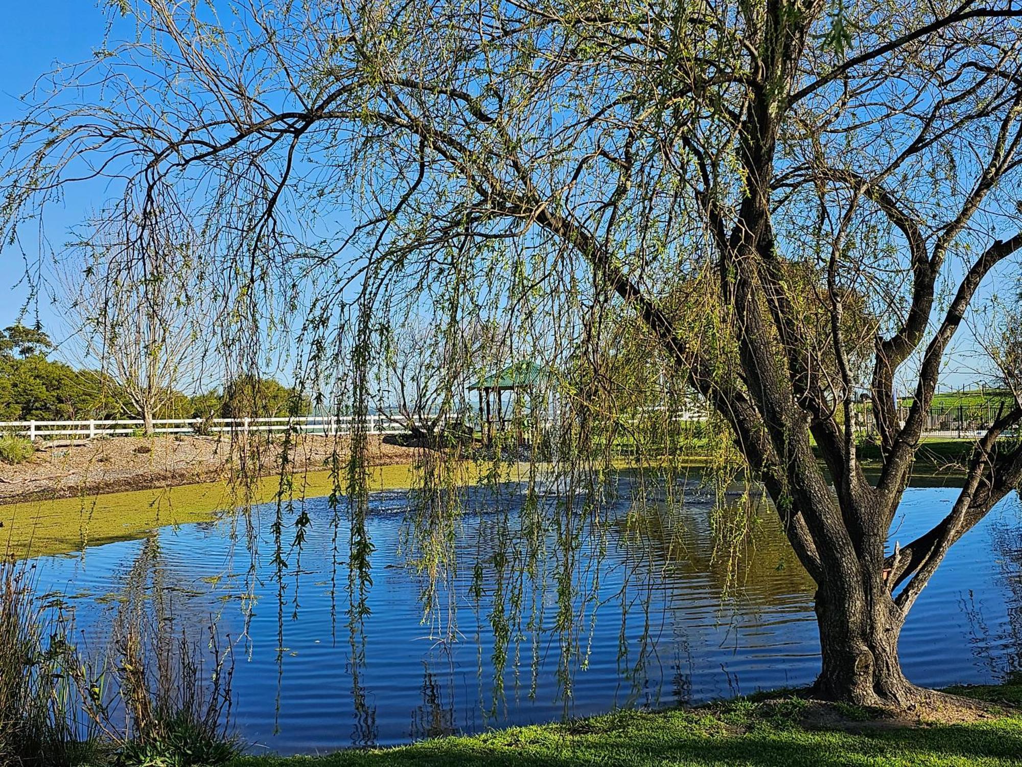 Dumbalk Maple Ridge Cottages מראה חיצוני תמונה