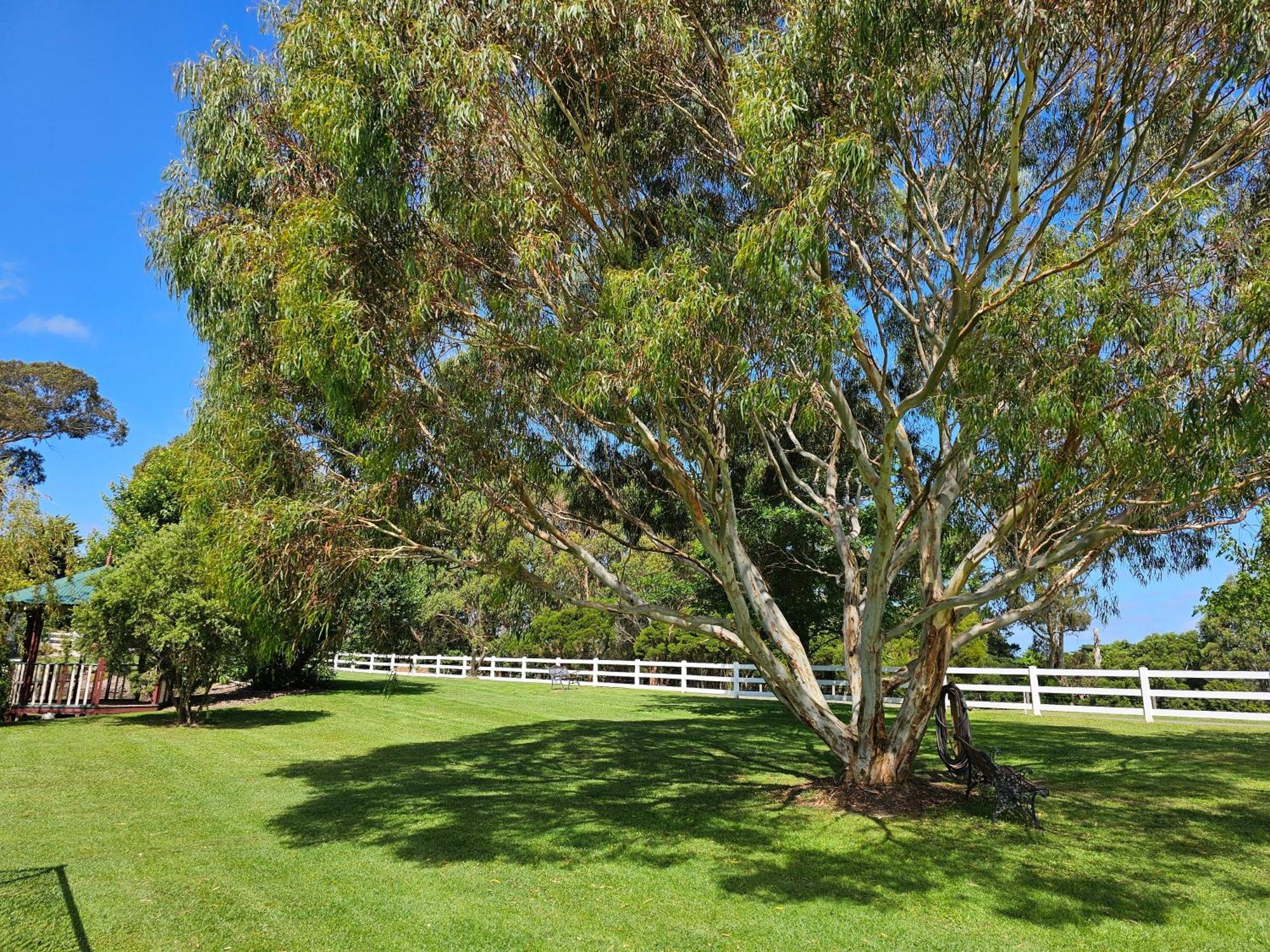 Dumbalk Maple Ridge Cottages מראה חיצוני תמונה